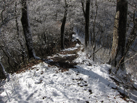 20191129hike (324)